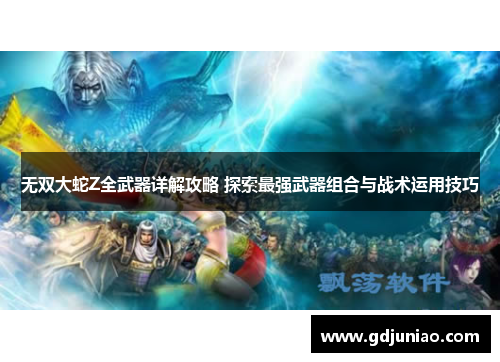 无双大蛇Z全武器详解攻略 探索最强武器组合与战术运用技巧
