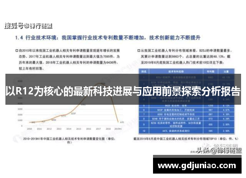 以R12为核心的最新科技进展与应用前景探索分析报告
